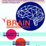 Volunteers! Our annual Brain Awareness event needs you!